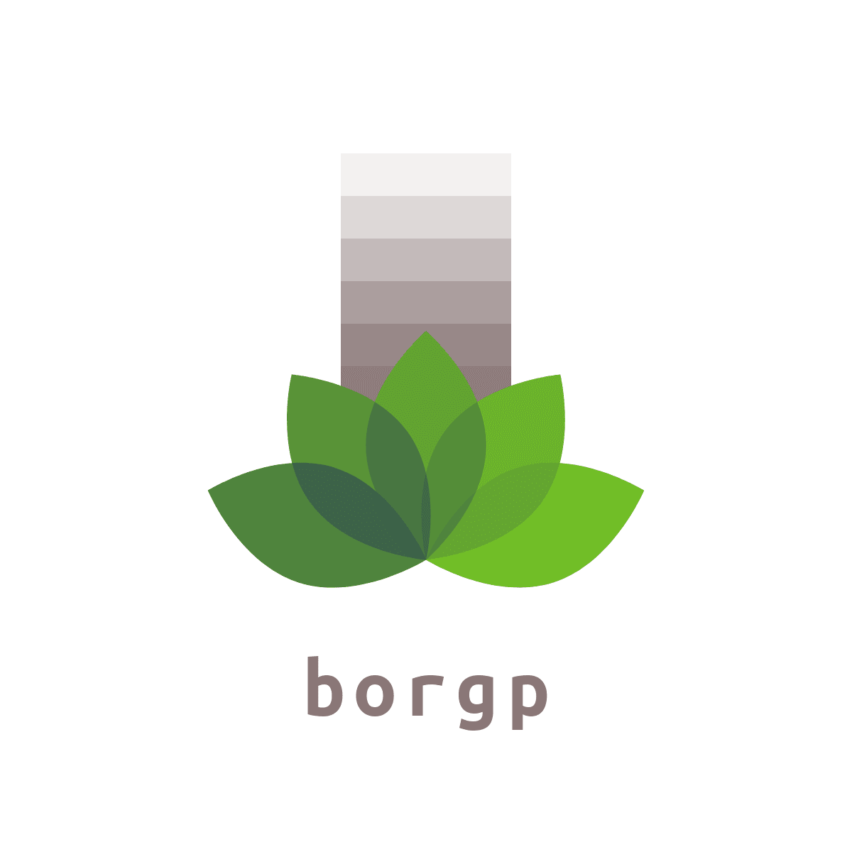 Logo borp